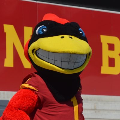 TheMascotCy Profile Picture