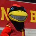 The Mascot Cy (@themascotcy) Twitter profile photo The Mascot Cy (@themascotcy) Twitter profile photo
