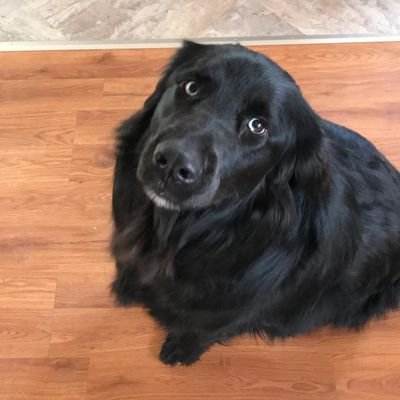 CindyBo76859708's profile picture. Retired and loving it