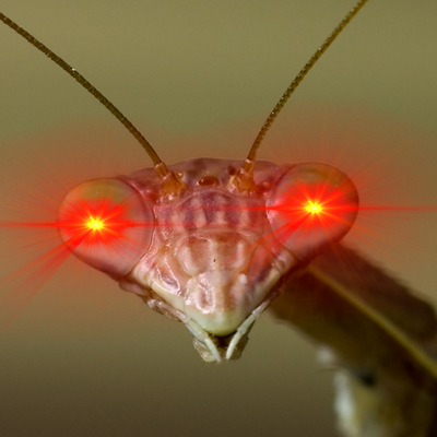 btcmantis Profile Picture