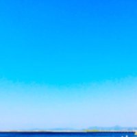 さめつり (@same_turi) Twitter profile photo
