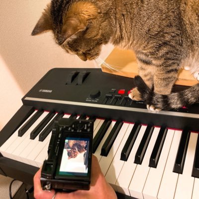 若田部 誠 on Twitter