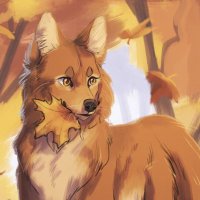 Feline Doggo (@nak_mutt) 's Twitter Profile