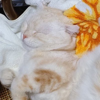 Milky_case's profile picture. 