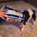 Rebekah Watson - @rgwatson101 - Twitter