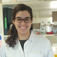 Mariona Chicón-Bosch 🧬 (@mariona_ch) 's Twitter Profile