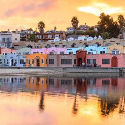 MonicaC81712195's profile picture. 