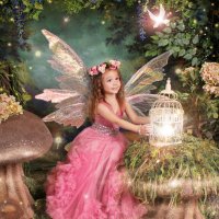 Enchanted Fairies (@enchntedfairies) 's Twitter Profile Photo