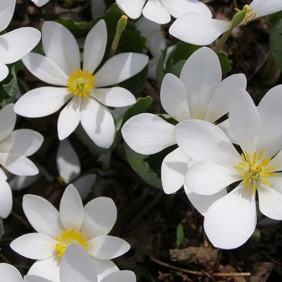 Carolin45842135's profile picture. 