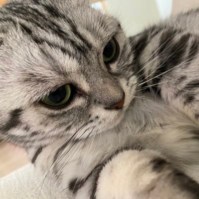ちっぷさんのプロフィール画像