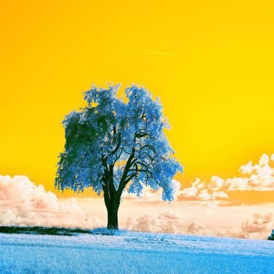 TMizh's profile picture. 👫 

👍நம்மவரின் மாணவன்🧑