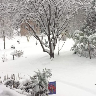 ChesCoSnow's profile picture. Chesterfield + 🌨️ = 😱