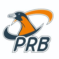 Pingüinas Rugby Burgos(@PinguinasRugby) 's Twitter Profileg