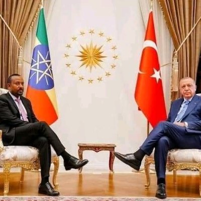 MekiaYe's profile picture. Attitude is determined of Altitude