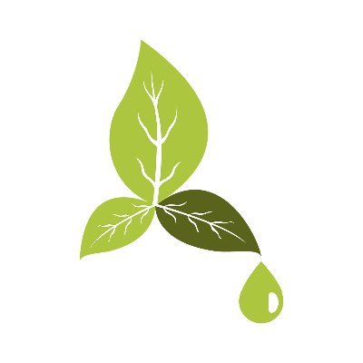 Bringing you brands focussed on natural, Eco and green products in one complete marketplace. Launching Nov2022 #natural #green #organic #eco