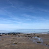 Fozia Hussain (@foziahussain15) 's Twitter Profile Photo