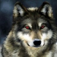 WOLF trader(@Altcoin15) 's Twitter Profile Photo