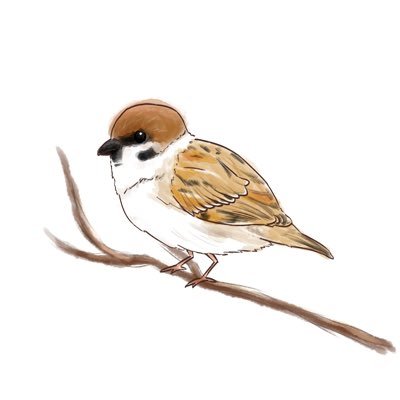野良すずめさんのプロフィール画像