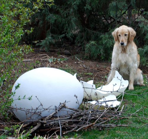 GeoCaper's profile picture. something is happening, it may be bigger than you think