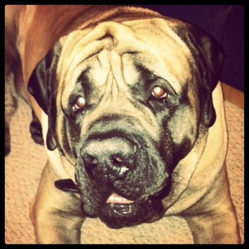 Tarny88's profile picture. I get it in Ohiooooo