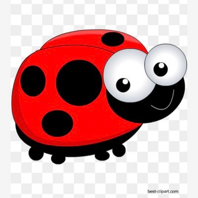 LadybirdHanna's profile picture. 