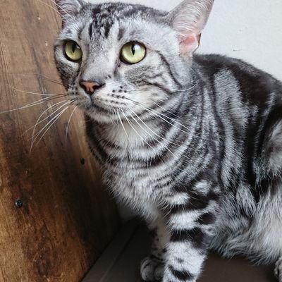 のののさんのプロフィール画像