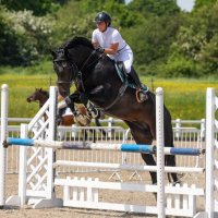 Sammy Parr (@sobrienpe) 's Twitter Profile