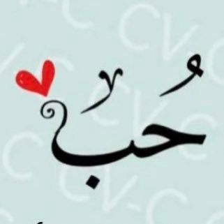 Snab_ab2d66699