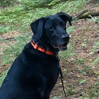 Kenneth A. Vatz (@kenv54) 's Twitter Profile