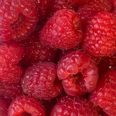 emmaxstorm's profile picture. 