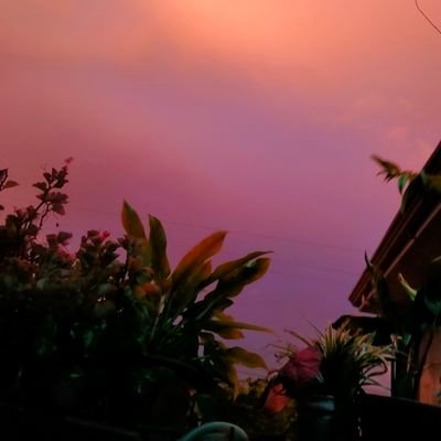 ayumuchinn's profile picture. MOVEMENT is LIFE 🌊