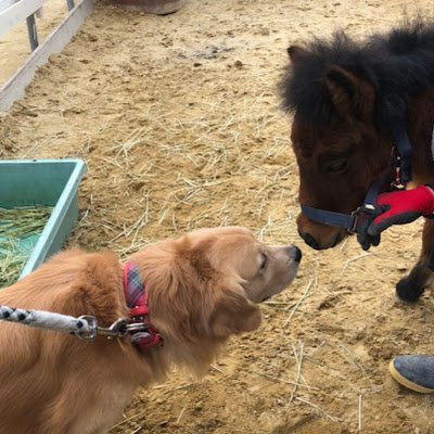 KV7JEGcrm8SPMvi's profile picture. 最近はくねくね道にハマってます  攻めるわけではありません（笑）