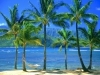 Breaking News of Hawaii - Events, Food, Real Estate, Tourism, Politics and Top Stories. We Follow Back! Aloha!