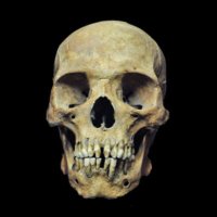 Evrimsel Antropoloji (@insanevrimi) Twitter profile photo