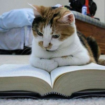 yeolgwong's profile picture. Don't be bored to learn, anything.