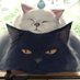 N//_o\ (@nc_inside) Twitter profile photo N//_o\ (@nc_inside) Twitter profile photo