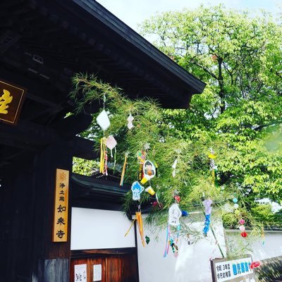 星顕山 光明院 如来寺さんのプロフィール画像