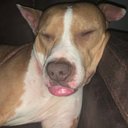 Dmoney - @DeandreNixon8 - Twitter