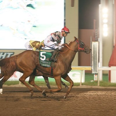 I am a former HS coach who now enjoys racing horses. I have been fortunate to be leading owner at Oaklawn, PRM and my home track Remington Park. Boomer Sooner!!