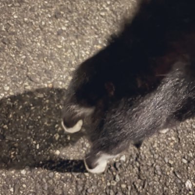 みるきぃさんのプロフィール画像