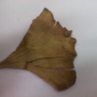 zero40537way (@zero40537way) 's Twitter Profile