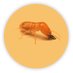 கறையான் (@loudspeaker86) Twitter profile photo கறையான் (@loudspeaker86) Twitter profile photo