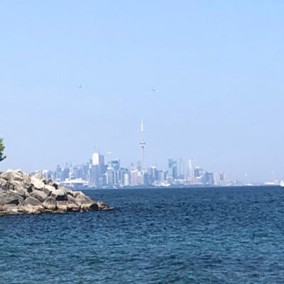 dmutriykolianov's profile picture. Toronto