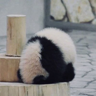 不正丶さんのプロフィール画像