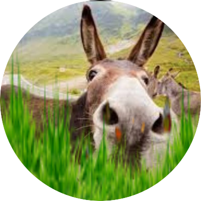 robamm_pg's profile picture. 2024卒論書きました→放送大(心理と教育) 2023.3卒業、再入学(情報) プレッシャーのない勉強ってほんと楽しい。日常垢 @robamimim