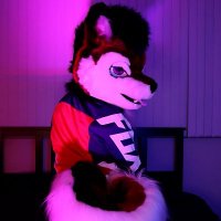 Arco Husky (@arcohusky) 's Twitter Profile