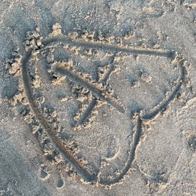 ndividual's profile picture. 