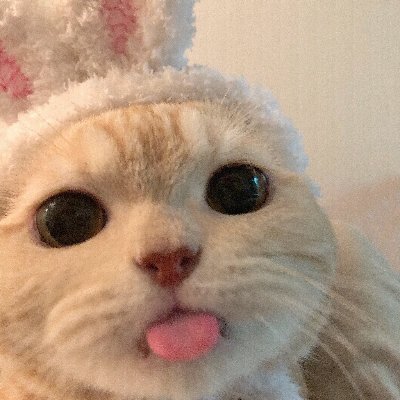 Inarifire_'s profile picture. 