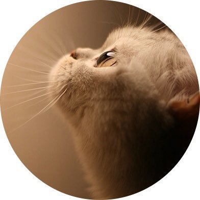 tsubee1's profile picture. (o^^o) ♂ 攻め大好き(o^^o) #裏垢 #セフレ募集