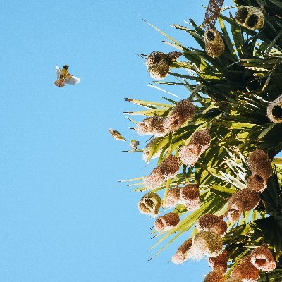 AadhiData's profile picture. I am an aspiring Data Analyst. Sharing my journey!